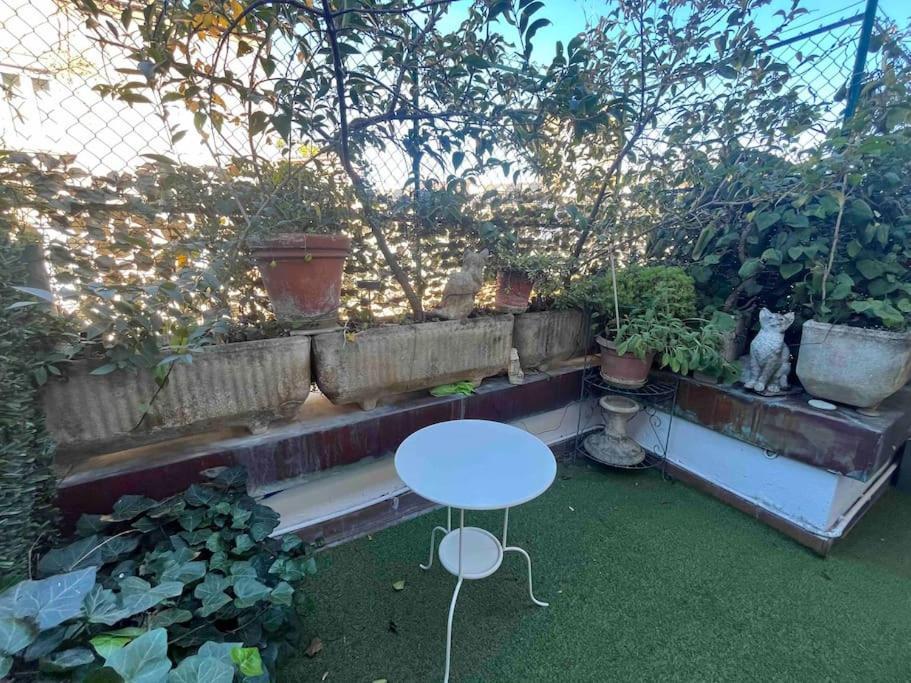 Monolocale In Centro Con Terrazzo Appartement *