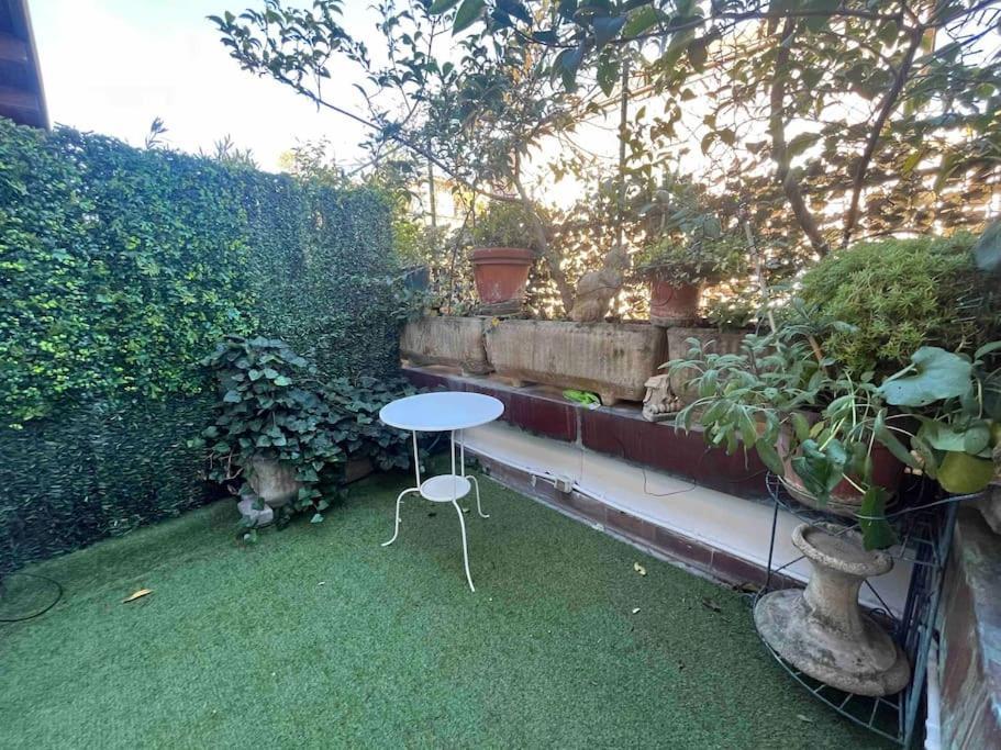 Monolocale In Centro Con Terrazzo *